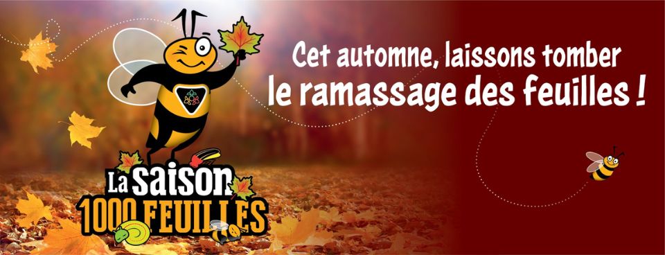 Saison 1000 feuilles